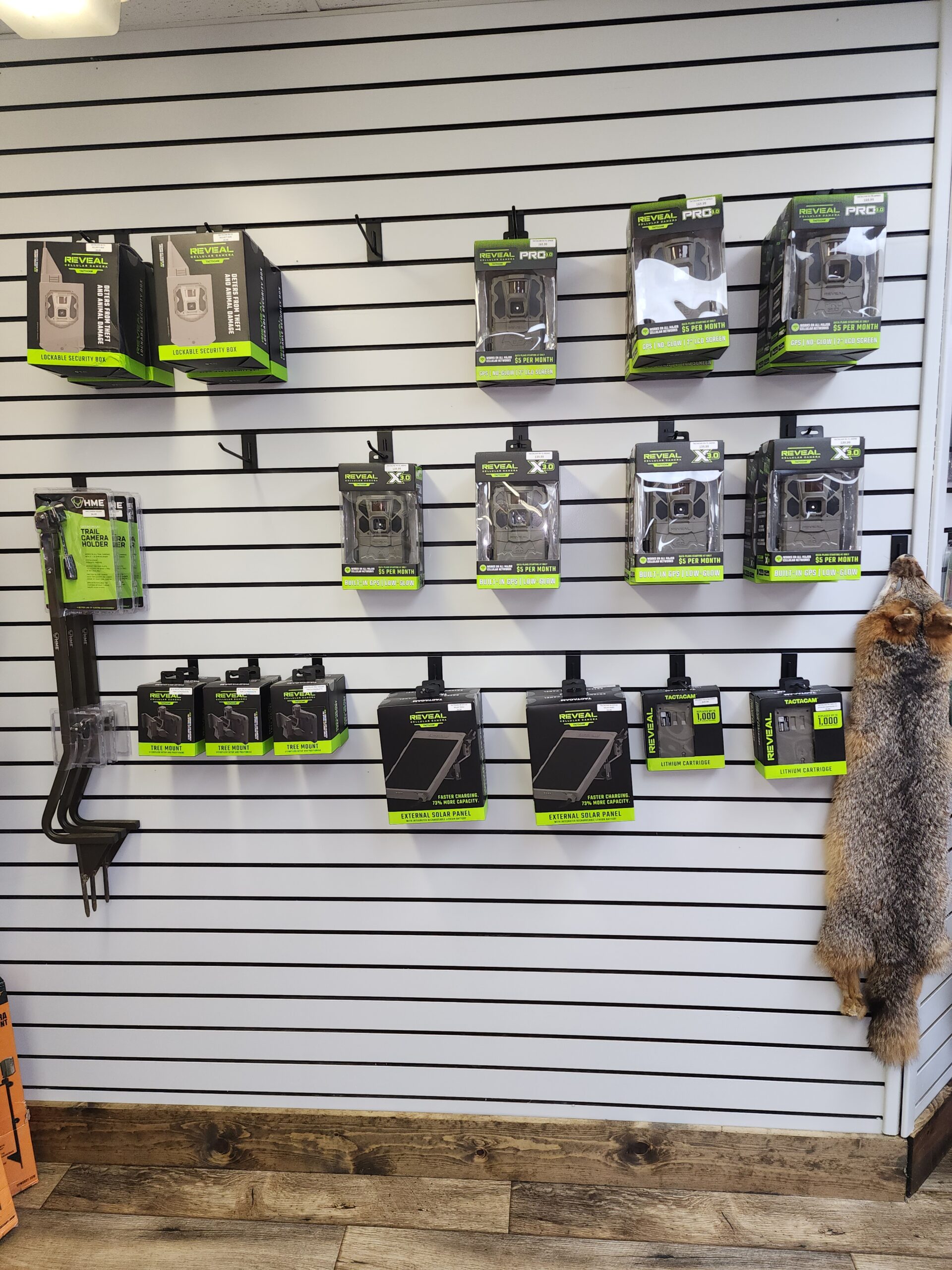 reveal trail cameras