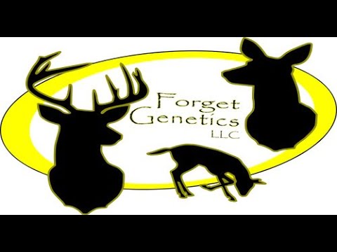 Forget Genetics